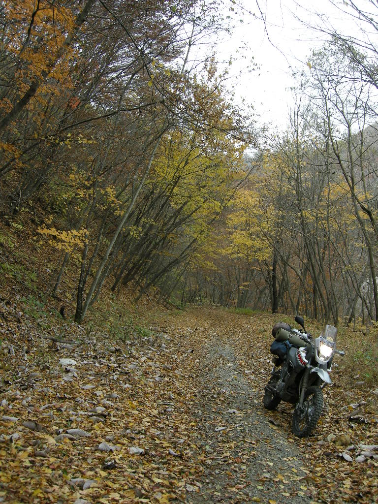 a0158802_0282922.jpg