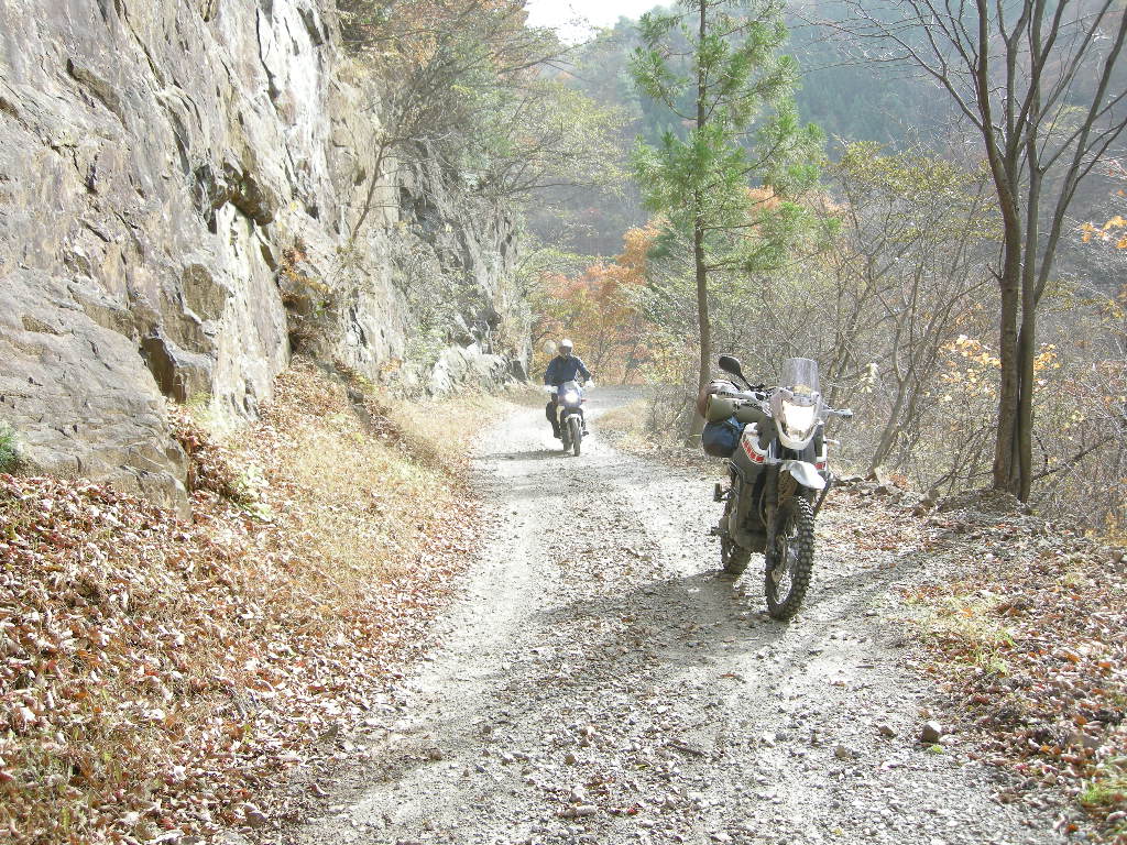 a0158802_028720.jpg