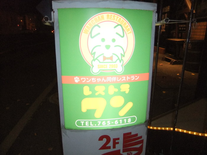 クララ♀ ぶんのすけ♂ ケン♂ 2才の バースディ!!_c0226202_1964512.jpg