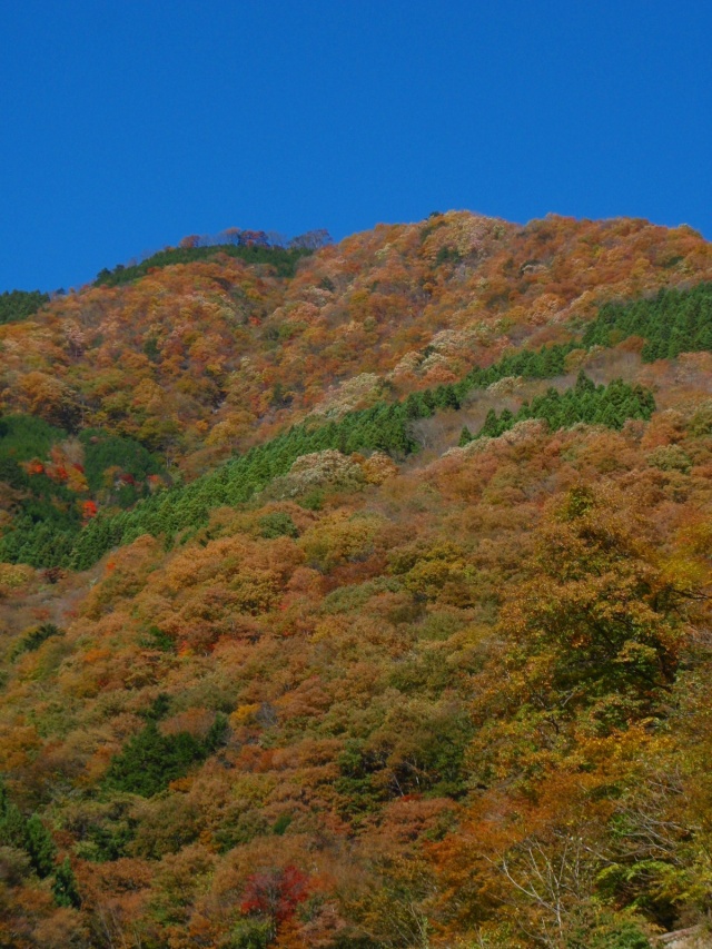 秩父・大菩薩ツーリング　その2_d0161702_19171179.jpg