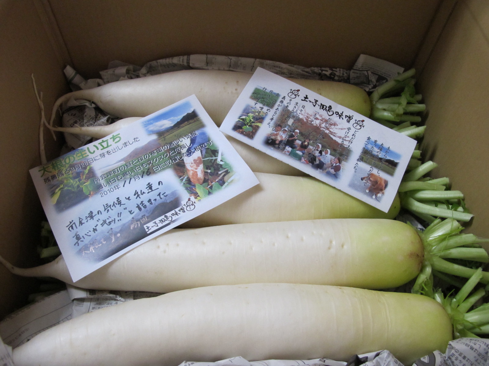 冬_b0152504_22461450.jpg