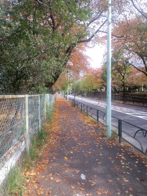 a0088007_1155067.jpg