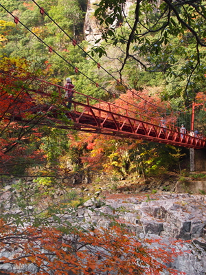 f0236607_1148051.jpg