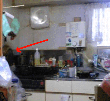 e0103408_1424696.gif