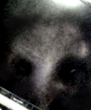 e0103408_17231774.gif