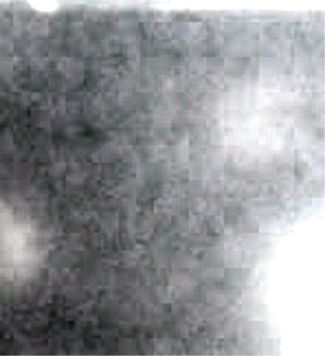 e0103408_17294710.gif