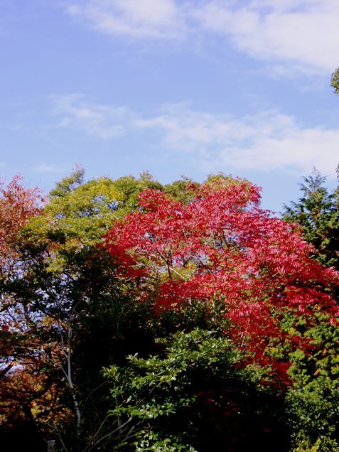 e0035711_22401497.jpg