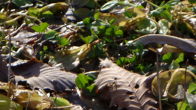 c0033513_22164321.jpg
