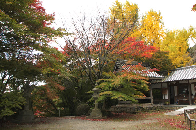 小塩山 金蔵寺_e0048413_20363566.jpg