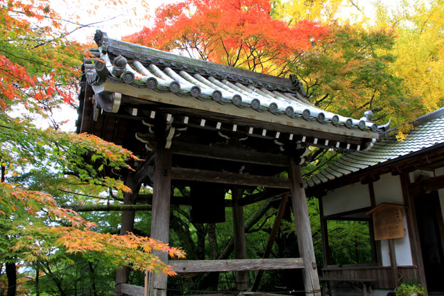 小塩山 金蔵寺_e0048413_20364997.jpg