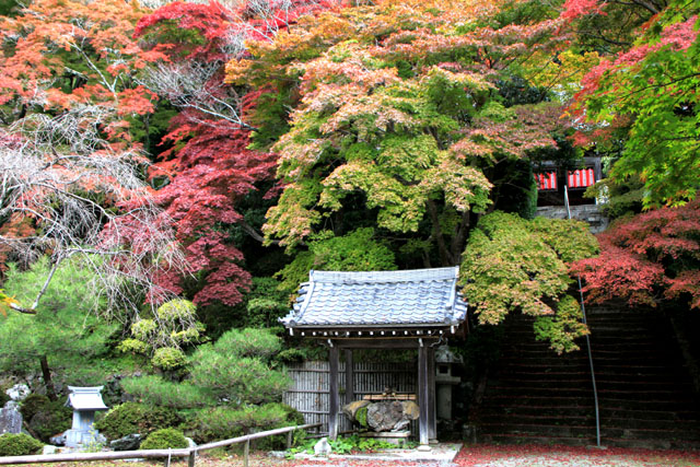 小塩山 金蔵寺_e0048413_2037374.jpg