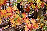 a0087818_10205338.jpg