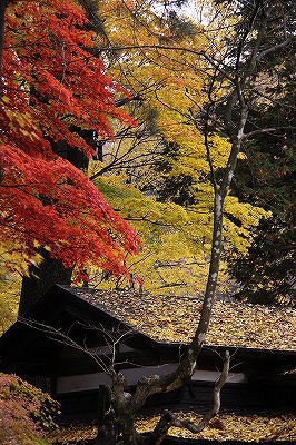 東北の旅・・・角館_a0087818_1044357.jpg