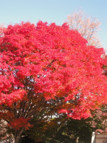 安曇野へ~♪_f0155118_2002894.jpg