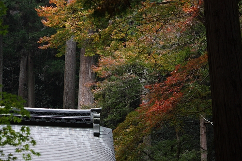 栂尾　高山寺へ♪_f0054428_06584.jpg