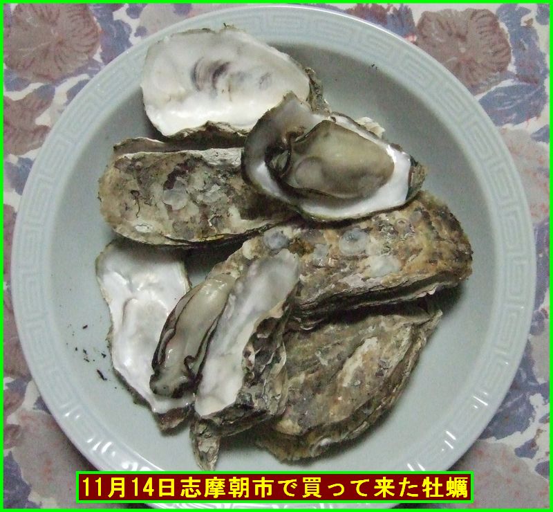 c0004734_1054270.jpg
