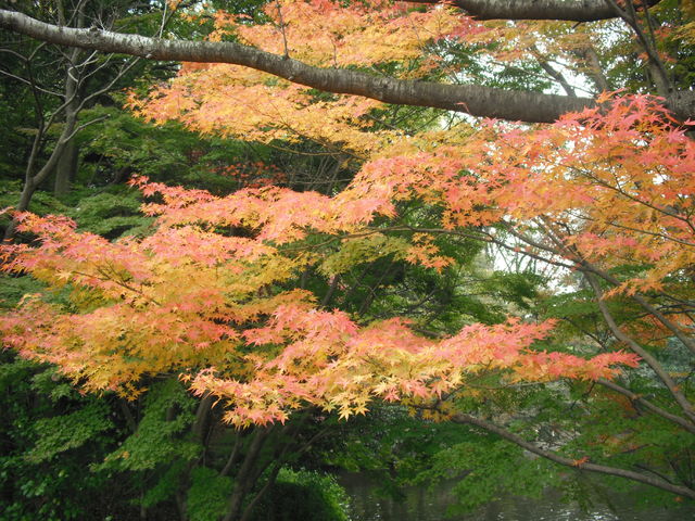 上尾丸山公園_f0214534_87453.jpg