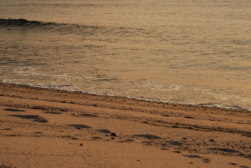 f0229844_2340131.jpg