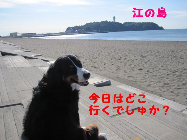 なが～～いお散歩♪（江ノ島）_a0108146_17511937.jpg