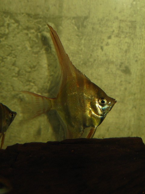 f0198950_2258973.jpg