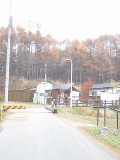 e0106251_1371338.jpg