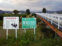 11月9日 涸れた今川を見る会-追記_f0197754_1602220.jpg