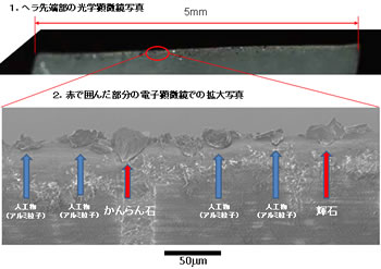 「はやぶさ」見事、小惑星「いとかわ」の粒子１５００個_d0115156_13563420.jpg