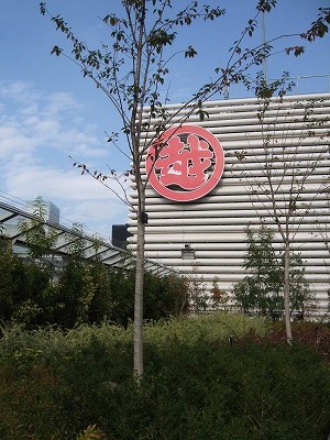 e0176158_07254.jpg