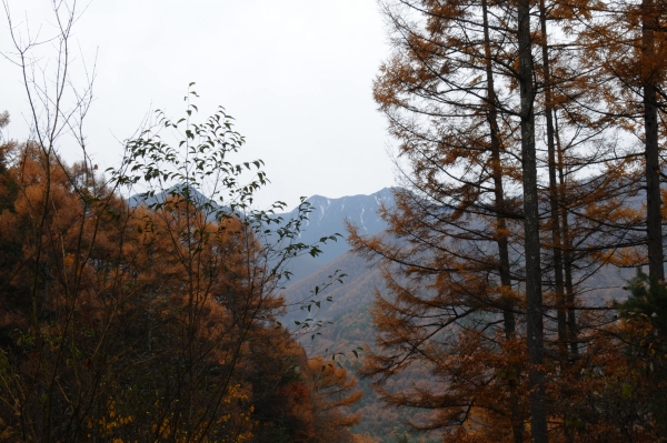 c0115660_21515695.jpg