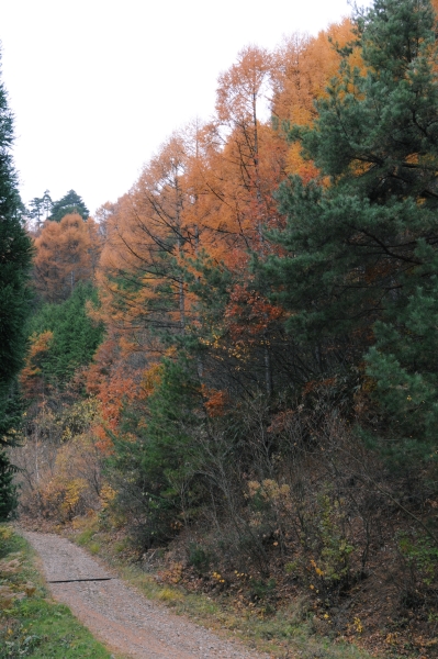 c0115660_21551082.jpg