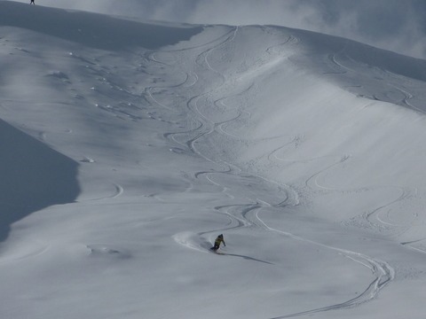 d0110562_17194245.jpg