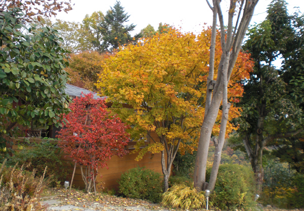 a0053063_20532835.jpg