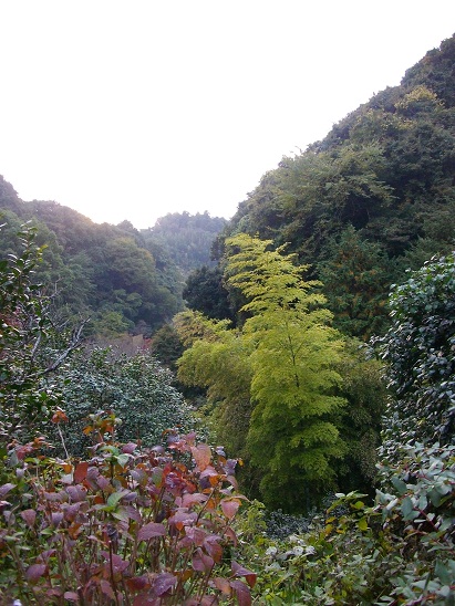 秋の鎌倉小旅行。_d0128268_13124238.jpg