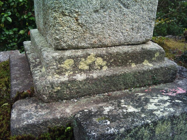 f0142070_1315570.jpg