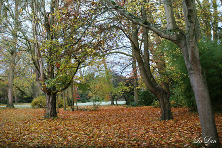 d0141376_12089.jpg