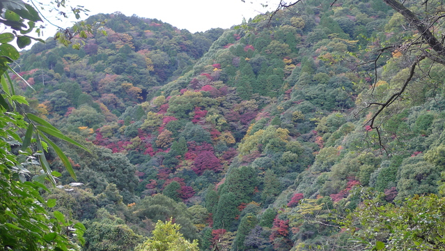 山友と行く六甲山  １日目_e0024081_18575861.jpg