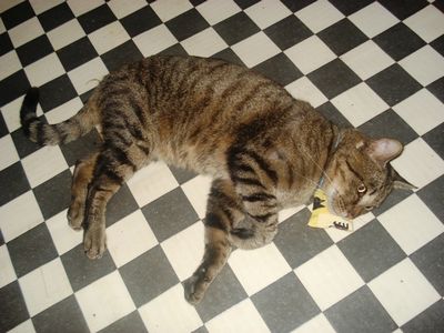 f0148582_1181511.jpg
