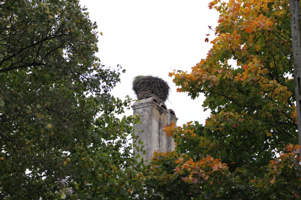 f0145483_19165948.jpg