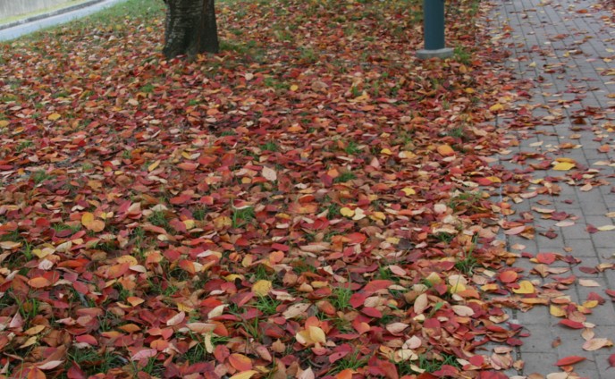 c0144185_14344311.jpg