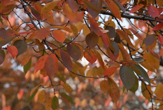 c0144185_143821.jpg