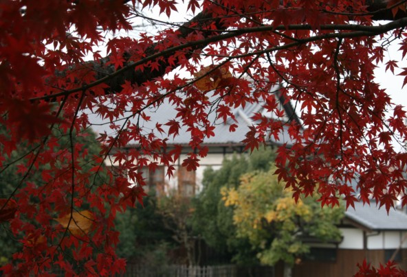 c0144185_1441149.jpg