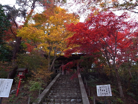 紅葉を求めて飯能を走った先はパラダイスー後編ー_b0087187_20155552.jpg