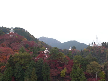 紅葉を求めて飯能を走った先はパラダイスー後編ー_b0087187_2018525.jpg