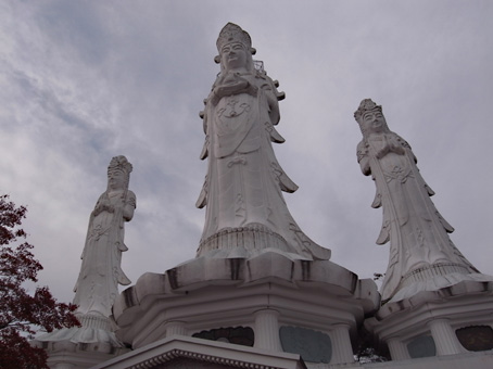 b0087187_2021624.jpg