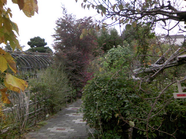 b0135992_92489.jpg