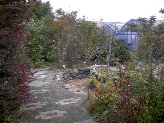 b0135992_93425.jpg