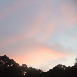 f0189196_2385642.jpg