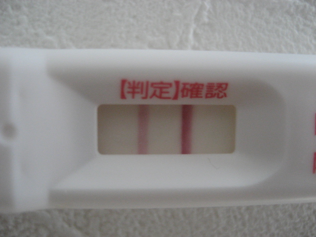 高温期13日目 フライングにて薄っすらと 画像あり 鬼嫁なのに不妊でごめんなさい 高温期13日目 フライングにて薄っすらと 画像あり 鬼嫁なのに不妊でごめんなさい