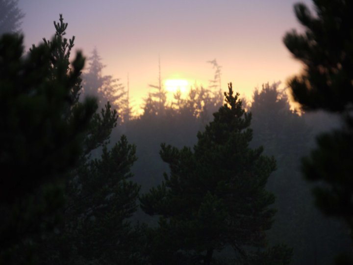 c0171899_14392182.jpg