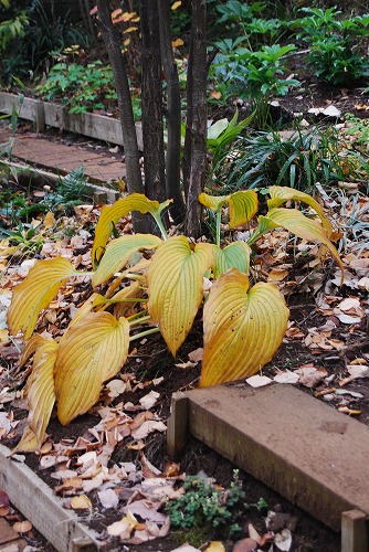 c0124100_2343664.jpg